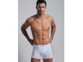 GRANCHIO CONTINUATIVO GB102 BOXER