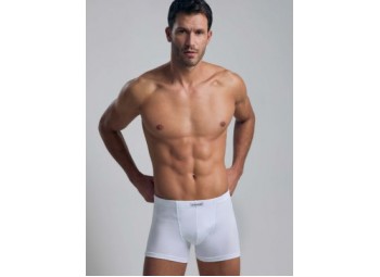 GRANCHIO CONTINUATIVO GB102 BOXER