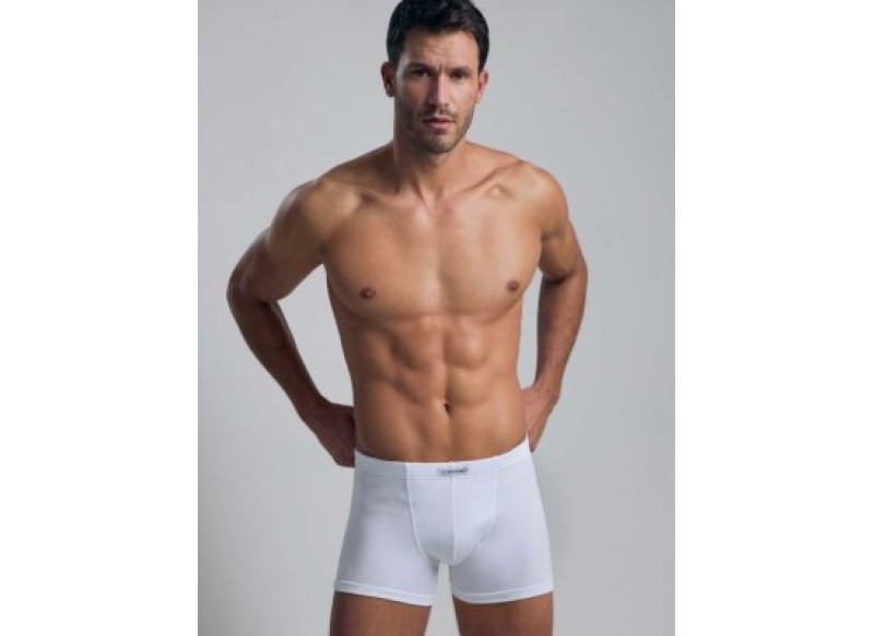 GRANCHIO CONTINUATIVO GB102 BOXER