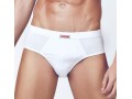 PRIMAL CONTINUATIVO 2211 SLIP TAGLIE CALIBRATE