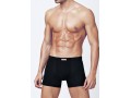 PRIMAL CONTINUATIVO 3201 BOXER PRIMAL CONTINUATIVO 3201 BOXER