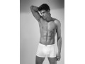 COVERI CONTINUATIVO EB1002 BOXER