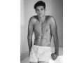 COVERI CONTINUATIVO EB1120 BOXER TELA
