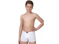 COVERI CONTINUATIVO EB4015 BOXER