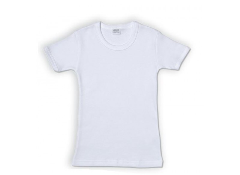 ELLEPI CONTINUATIVO 649 MAGLIA MEZZA MANICA