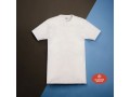 FRAGI CONTINUATIVO 745 MAGLIA MEZZA MANICA GIROCOLLO
