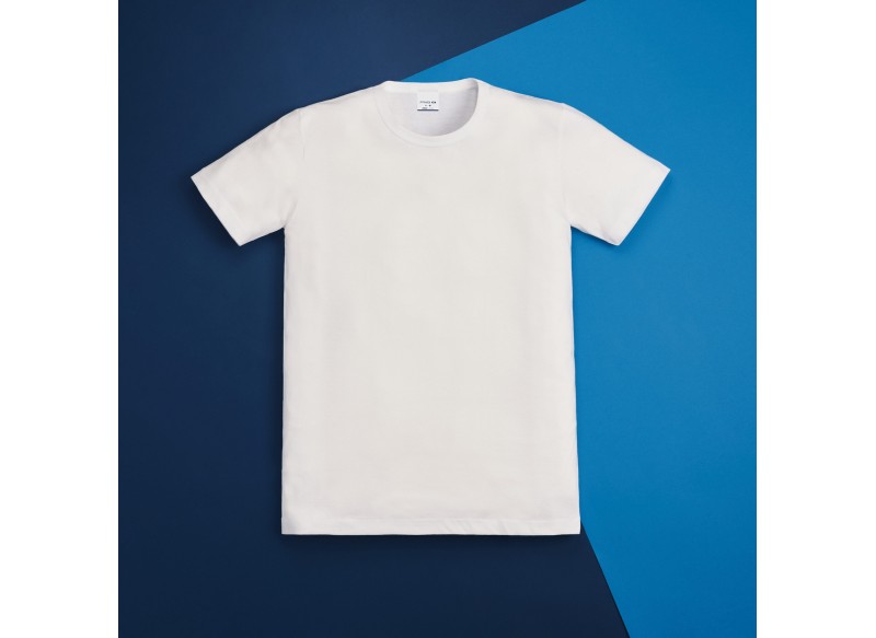 FRAGI CONTINUATIVO AMERICA CALIBRATA MAGLIA MEZZA MANICA 