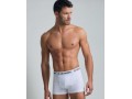 GRANCHIO CONTINUATIVO GB100 BOXER