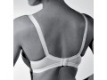 GIOS CONTINUATIVO 142 REGGISENO