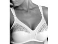 GIOS CONTINUATIVO 985B REGGISENO