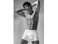 COVERI CONTINUATIVO EB1000 BOXER